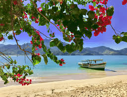 ILHA DO PELADO-RJ